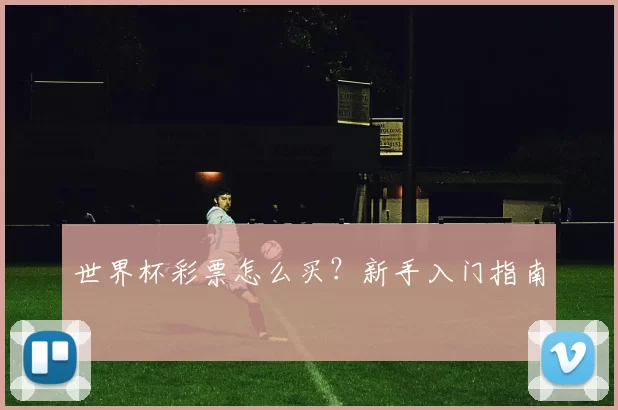 世界杯彩票怎么买?新手入门指南