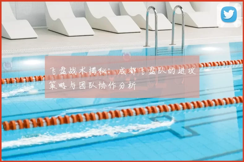 飞盘战术揭秘:成都飞盘队的进攻策略与团队协作分析