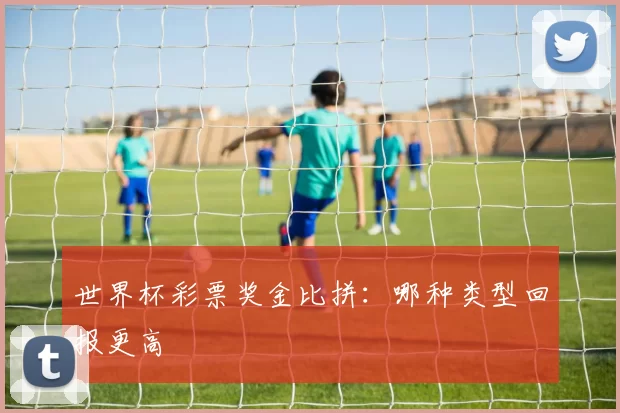 世界杯彩票奖金比拼：哪种类型回报更高