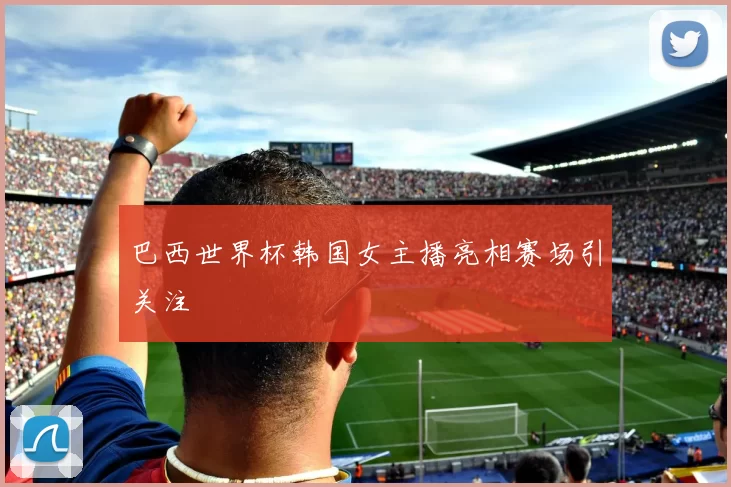 巴西世界杯韩国女主播亮相赛场引关注