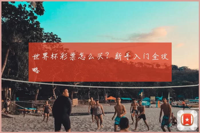 世界杯彩票怎么买？新手入门全攻略