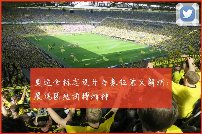 奥运会标志设计与象征意义解析，展现团结拼搏精神
