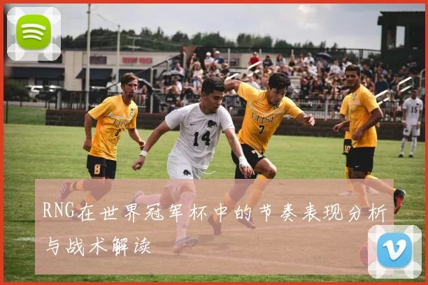 RNG在世界冠军杯中的节奏表现分析与战术解读