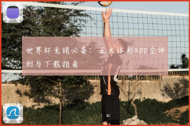 世界杯竞猜必备：五大体彩app全评测与下载指南