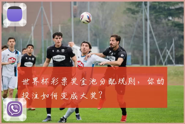 世界杯彩票奖金池分配规则,你的投注如何变成大奖?