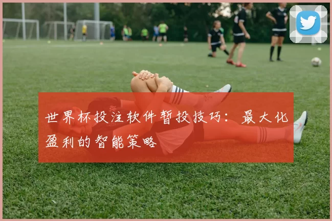 世界杯投注软件暂投技巧：最大化盈利的智能策略