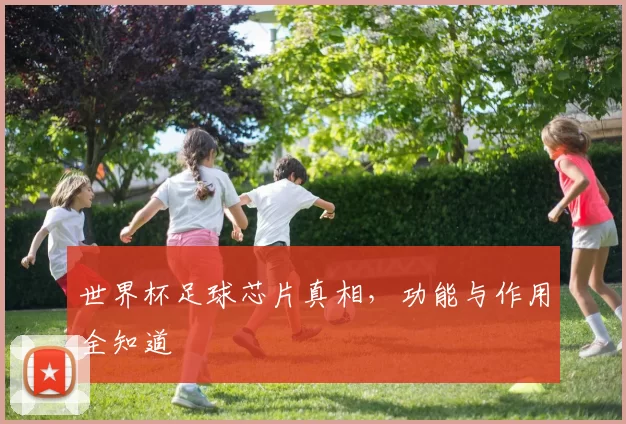 世界杯足球芯片真相,功能与作用全知道