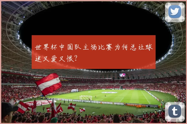 世界杯中国队主场比赛为何总让球迷又爱又恨？