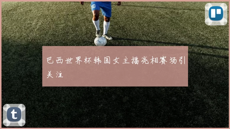 巴西世界杯韩国女主播亮相赛场引关注