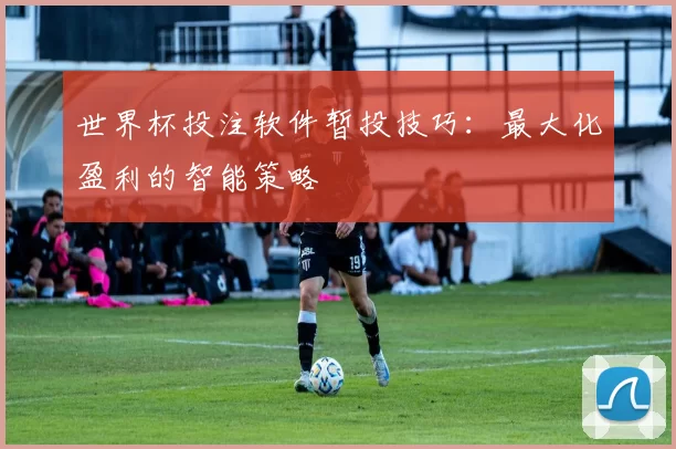 世界杯投注软件暂投技巧:最大化盈利的智能策略